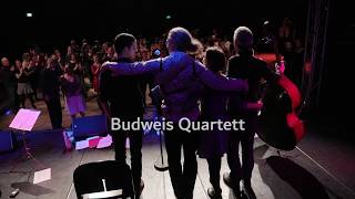 Budweis Quartett  Mamparas [upl. by Gilead]