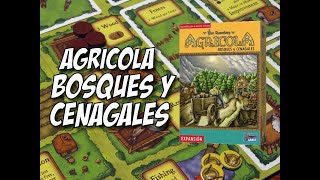 Agricola  Bosques y Cenagales Cómo JugarTutorial  Expansión [upl. by Dnomso]