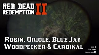 Robin Oriole Blue Jay Woodpecker Cardinal Location for Perfect Carcass  Red Dead Redemption 2 [upl. by Everett]