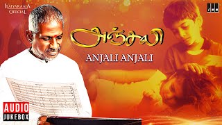 Anjali Anjali Song  Anjali Movie  Ilaiyaraaja  Raghuvaran  Revathi  Mani Ratnam  Vaali [upl. by Fagen329]