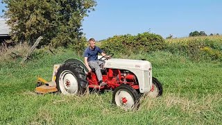 1949 Ford 8N Overgrown vegetation can be tough to manage [upl. by Ennywg]