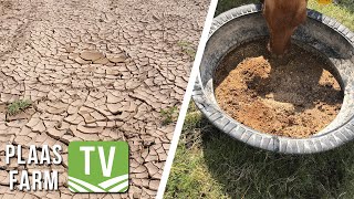 Impact of drought on apple farmers in Western Cape  Yara Farm TV  6 June 2022 [upl. by Hake]