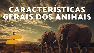 Características gerais dos animais [upl. by Shenan]