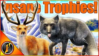 MELANISTIC Tibetan Fox  Diamond Barasingha  theHunter Call of the Wild [upl. by Agosto129]