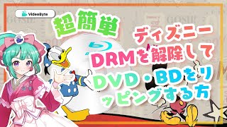 ディズニーコピー ガード・DRMを解除する方法丨超簡単 [upl. by Marni]