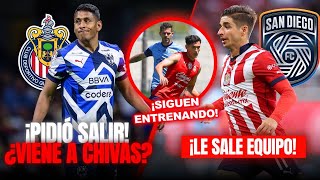 🚨LUIS ROMO A CHIVAS PIDE SALIR DE MONTERREY  LE SALE EQUIPO A CONE BRIZUELA  NOTICIAS CHIVAS [upl. by Yajet]