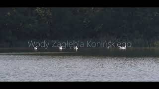 Wody Zagłębia Konińskiego [upl. by Ronda]