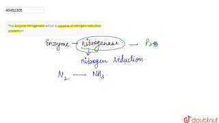 The exzyme nitrogenase which is capable of nitrogen reduction present in [upl. by Hubing30]