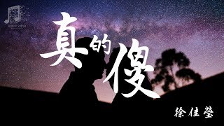 徐佳莹  真的傻 『超高音質』【動態歌詞Lyrics】 [upl. by Buyer]