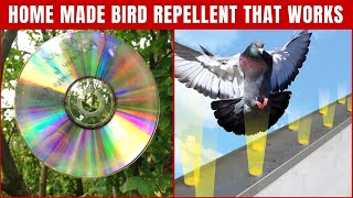 Homemade Bird Repellents to Keep Birds Away That Works 100  Top Repellents [upl. by Htrag]