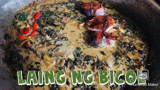 ORIGINAL LAING RECIPE  How to cook Taro leaves in coconut cream  Baecolano Cook [upl. by Eerot]