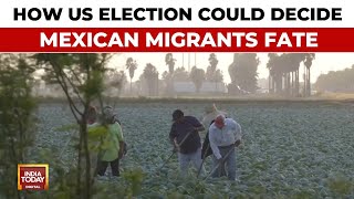 Migrants In Mexico Hold Their Breath During US Election As They Fear Mass Deportations [upl. by Nilat]