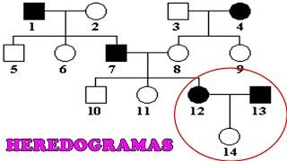 HEREDOGRAMAS  Exercícios e Dicas [upl. by Brinson]