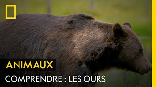 COMPRENDRE  Les ours [upl. by Xantha]