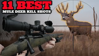 11 Epic Mule Deer Hunts The Best Shots amp Highlights [upl. by Tenaej]