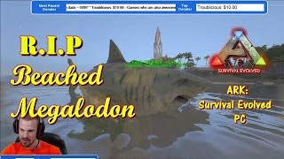 RIP Beached Megalodon ARK Survival Evolved [upl. by Alverta356]