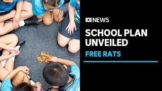 Students wont need negative RAT before heading back to classrooms in the ACT  ABC News [upl. by Gilbart]