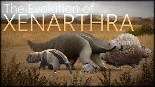 Evolution of sloths and armadillos [upl. by Nylesaj682]