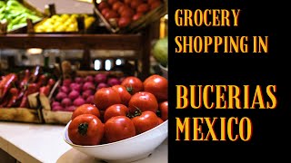 Bucerias Mexico Vacation Grocery Shopping [upl. by Naie566]