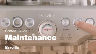 The Barista Express®  How to easily perform a clear water backflush on your machine  Breville USA [upl. by Rufena]