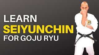 Seiyunchin Kata for Beginners Learn the Steps [upl. by Ianteen]