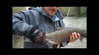 Fly Fishing for Steelhead  Conneaut Creek [upl. by Anitsej]