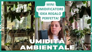 Umidità ambientale e umidificatore una bella idea regalo per le orchidee [upl. by Berneta]