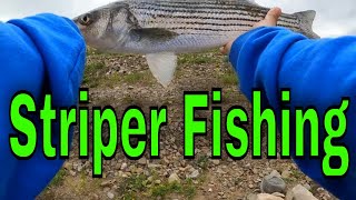 San Luis Reservoir Striped Bass Fishing 2024 [upl. by Akissej30]