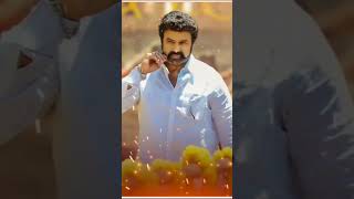 balakrishna dialogues veerasimhareddy [upl. by Langelo828]