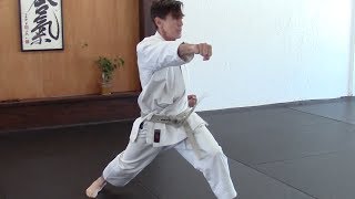 ten no kata  introduction [upl. by Garvey]