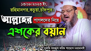 গতকালকে মাহফিলে আল্লাহর পাগলদের নিয়ে শায়েখে চরমোনাইর এশকের বয়ান। Mufti Foyzul karim Cormonai New Waz [upl. by Eidnas]