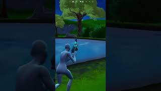 Fishing  fortnite fortnitememefortnite fortnitememes memes youtubeshorts fortniteclips [upl. by Eonak]