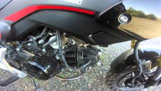 Fixed the Honda Grom Sputtering Issues [upl. by Niletac]