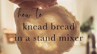 BASIC BREAD DOUGH [upl. by Yesrej]