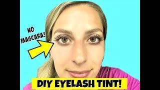 DIY EYELASH TINTING AT HOME Natural Looking Lashes [upl. by Almeida456]