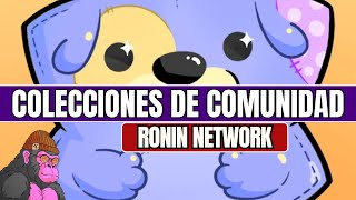 Ronin Network  Colecciones de Comunidad Finalistas [upl. by Elfstan983]