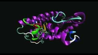 PPAR gamma receptor antagonist Molecular Dynamics [upl. by Ahsieuqal]