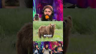 A bear without a nose bears comedy podcast [upl. by Margaretta]