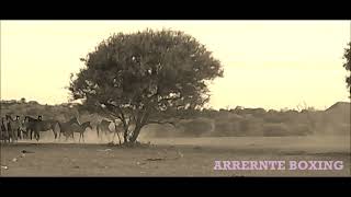 Arrernte Boxing [upl. by Timothea942]