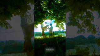 Dandelions X Timro pratiksha 💫  mash up status ✨ musiclyrics shorts edit [upl. by Sorazal]