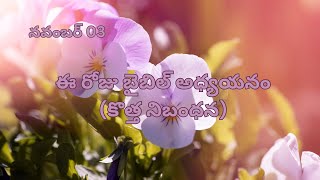 Bible Reading in a Year  November 03  New Testament  DayToDay  Learning [upl. by Moonier]