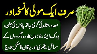 Radish Benefits Moli K Fayde For Uric Acid Kidney Weight Loss And Diabetes Treatment Urdu Hindi [upl. by Leunammi]