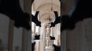 Chiostro di Palazzo Mattei Rome rome romeitaly holliday shortvideo arte history walkingtour [upl. by Aropizt]