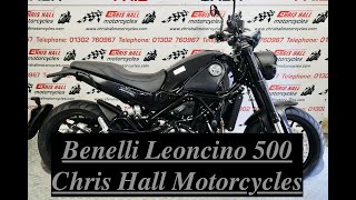 2019 Benelli Leoncino 500 chrishallmotorcycles motorcycles benelli [upl. by Mandel]