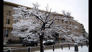 Neve a Roma 26 febbraio 2018 Piazza Bologna e dintorni [upl. by Anirtep295]