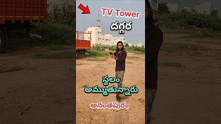 Tv Tower దగ్గర 5 Cents For Sale Anantapur shorts ytshorts Anantapur [upl. by Kelley]