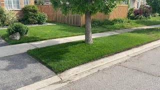 Lawn Edging Without a Blade It Works and Looks Great [upl. by Doggett]