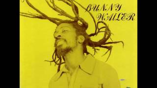 Bunny Wailer  Rock N Groove Full Album [upl. by Zetnod407]