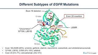 Testing for Common and Uncommon EGFR Mutations to Guide EGFRTargeted Therapy in NSCLC [upl. by Nosrac15]