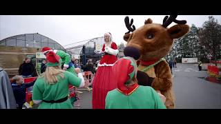 Live Performers Christmas Entertainment  Christmas Acts  Dobbies Garden Centre [upl. by Mal]